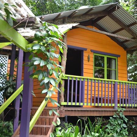 Rainforest Hideaway Cape Tribulation Luaran gambar