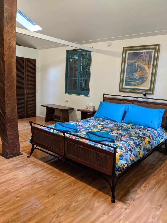 Rainforest Hideaway Cape Tribulation Luaran gambar