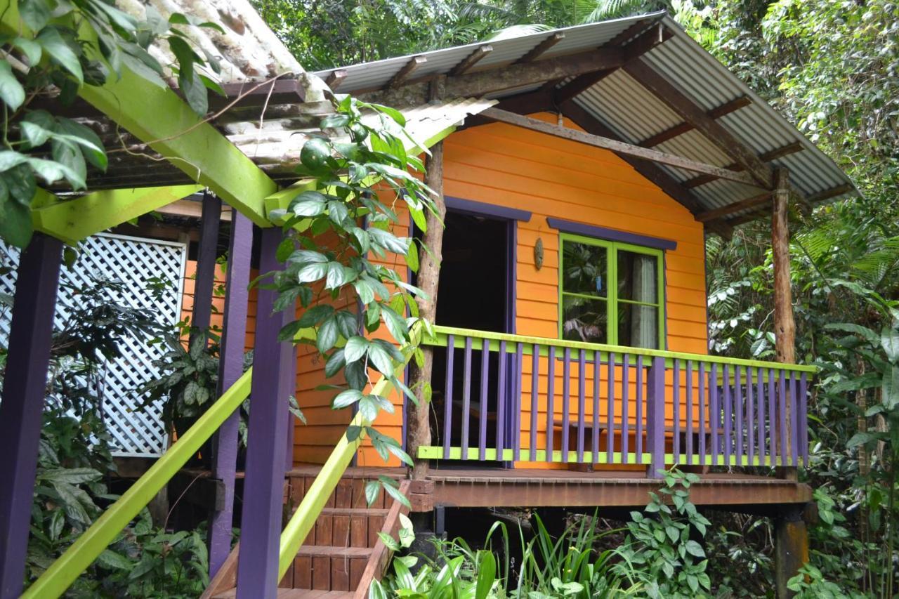 Rainforest Hideaway Cape Tribulation Luaran gambar