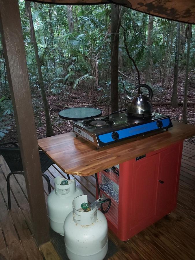 Rainforest Hideaway Cape Tribulation Luaran gambar