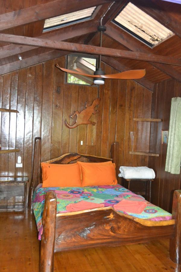 Rainforest Hideaway Cape Tribulation Luaran gambar