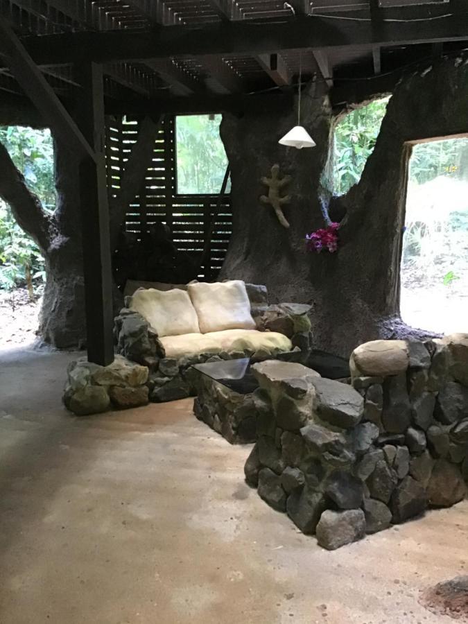 Rainforest Hideaway Cape Tribulation Luaran gambar