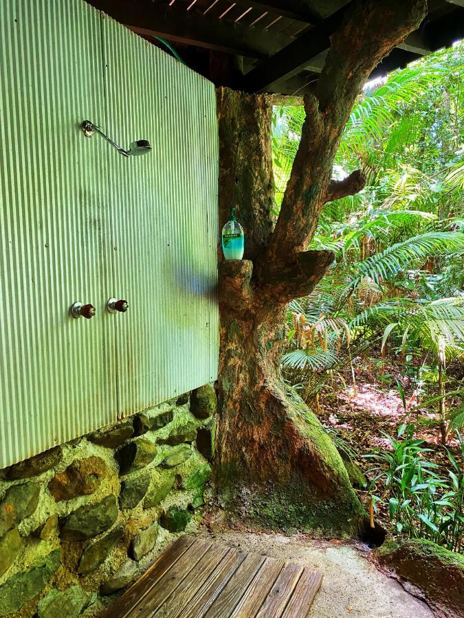 Rainforest Hideaway Cape Tribulation Luaran gambar