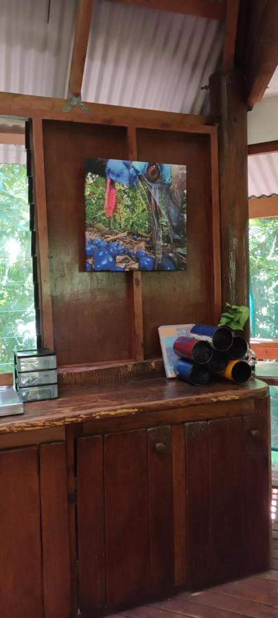 Rainforest Hideaway Cape Tribulation Luaran gambar