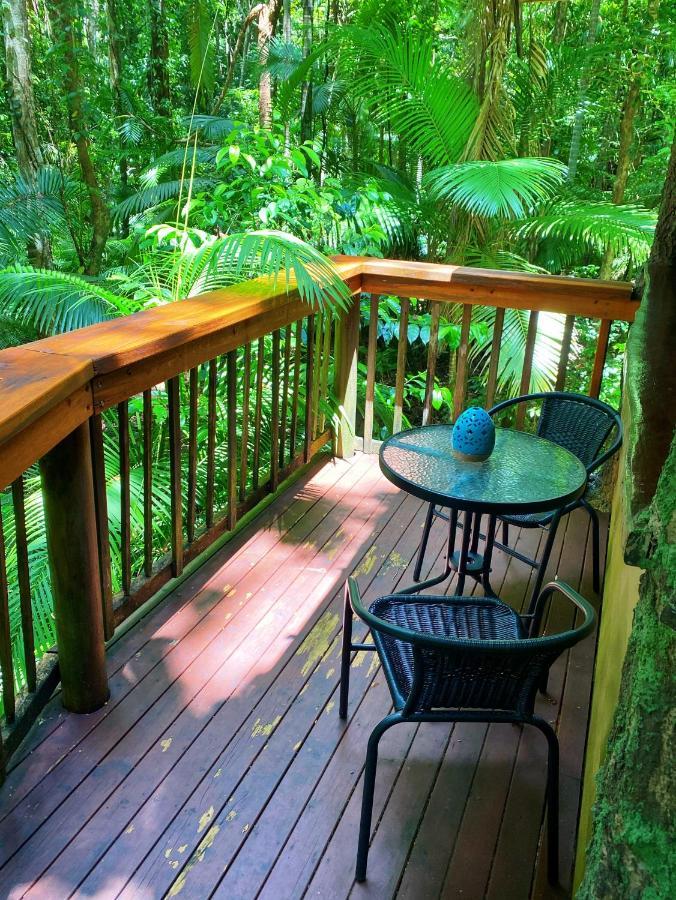 Rainforest Hideaway Cape Tribulation Luaran gambar