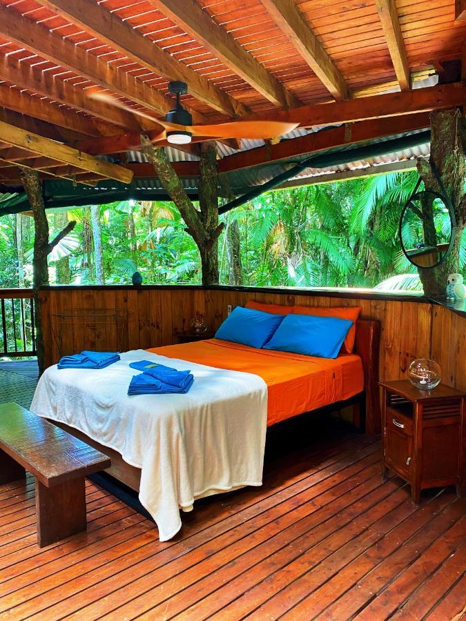 Rainforest Hideaway Cape Tribulation Luaran gambar