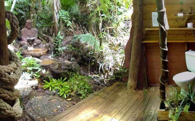 Rainforest Hideaway Cape Tribulation Bilik gambar