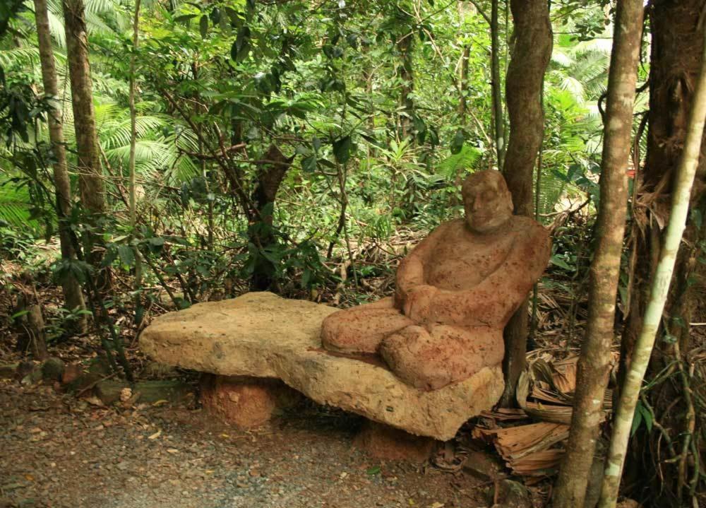 Rainforest Hideaway Cape Tribulation Luaran gambar