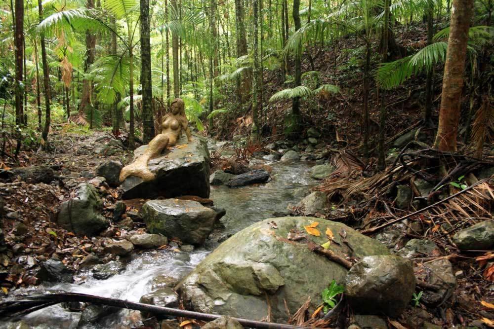 Rainforest Hideaway Cape Tribulation Luaran gambar