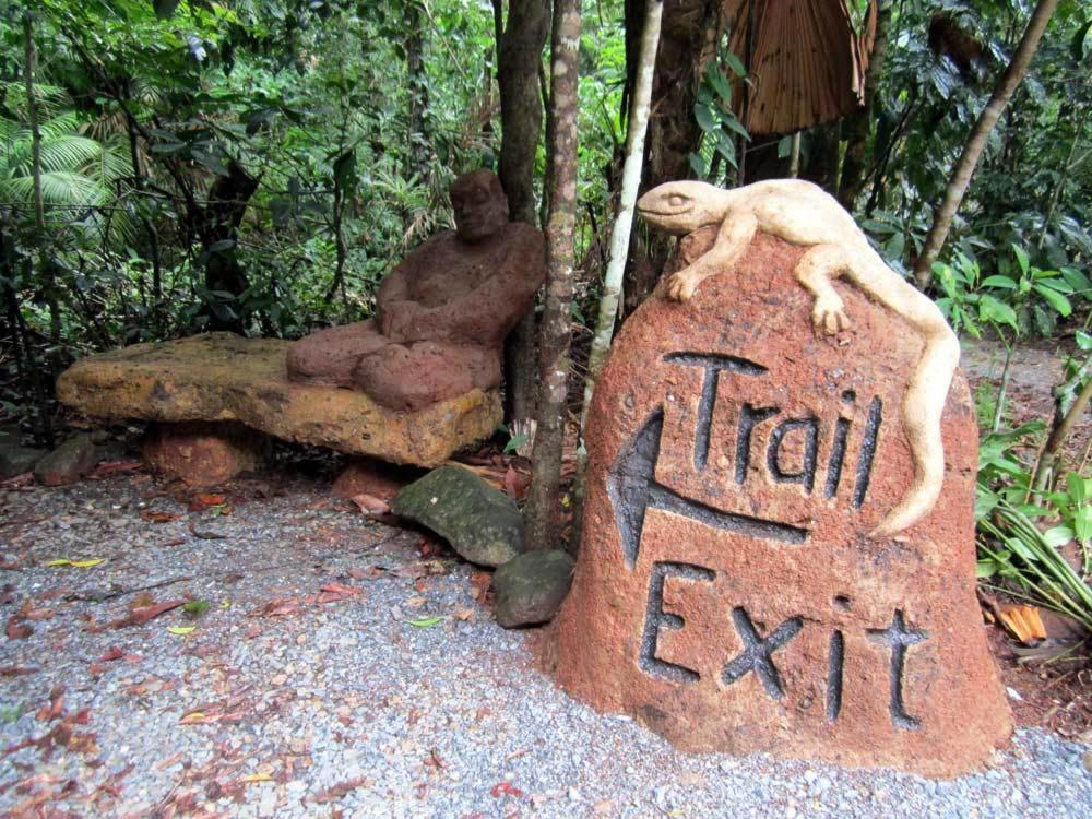 Rainforest Hideaway Cape Tribulation Luaran gambar