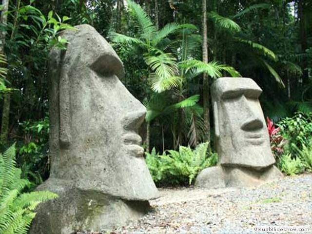Rainforest Hideaway Cape Tribulation Luaran gambar