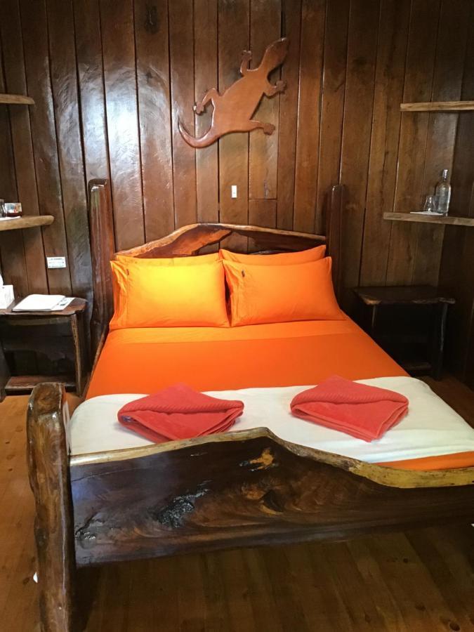 Rainforest Hideaway Cape Tribulation Luaran gambar